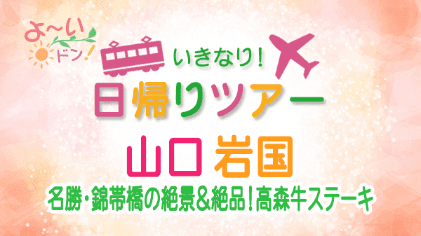 よーいドン いきなり日帰りツアー 山口 岩国