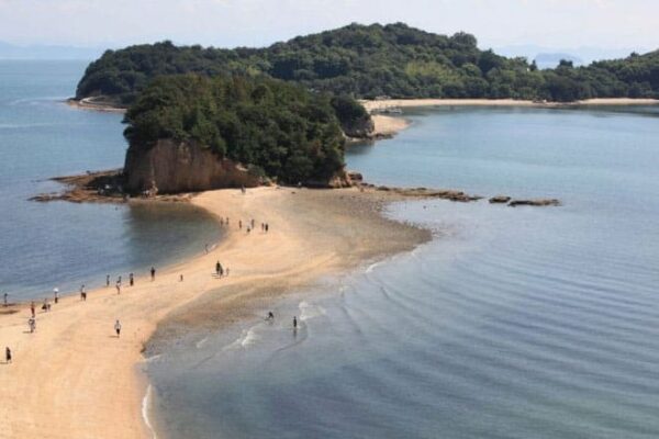 よーいドン いきなり日帰りツアー 香川県 小豆島