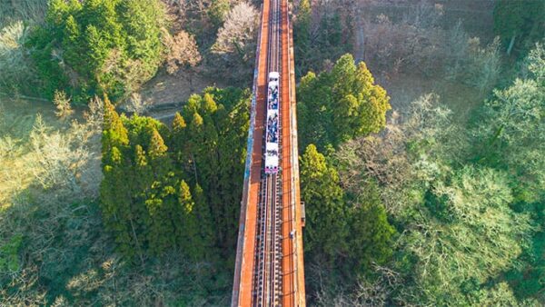 よーいドン いきなり日帰りツアー 宮崎県 高千穂