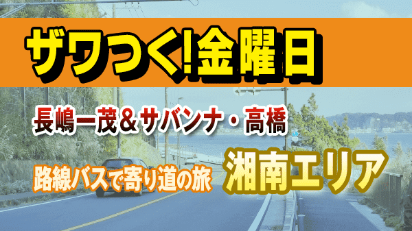 ザワつく金曜日 路線バスで寄り道の旅 湘南エリア