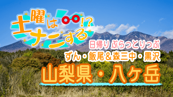 土曜はナニする 日帰り ぷらっとりっぷ 山梨県 八ヶ岳 ずん 飯尾和樹 森三中 黒沢かずこ