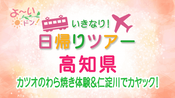 よーいドン いきなり日帰りツアー 高知県