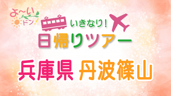 よーいドン いきなり日帰りツアー 兵庫県 丹波篠山