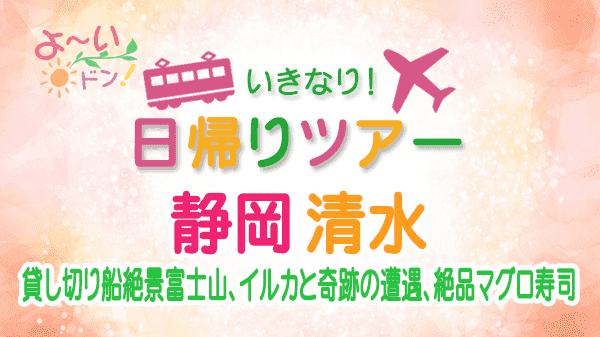 よーいドン いきなり日帰りツアー 静岡 清水