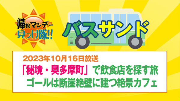 帰れマンデー バスサンド 秘境 奥多摩町