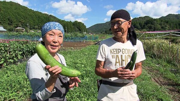 LIFE夢のカタチ ライフ  京都 綾部 つむぎ おばんざい