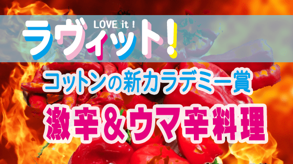 ラヴィット LOVEit ラビット コットン 新 カラデミー賞