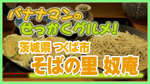 バナナマンのせっかくグルメ 茨城県 つくば市 なにわ男子 道枝駿佑 広瀬アリス そばの里 奴庵 野菜天そば