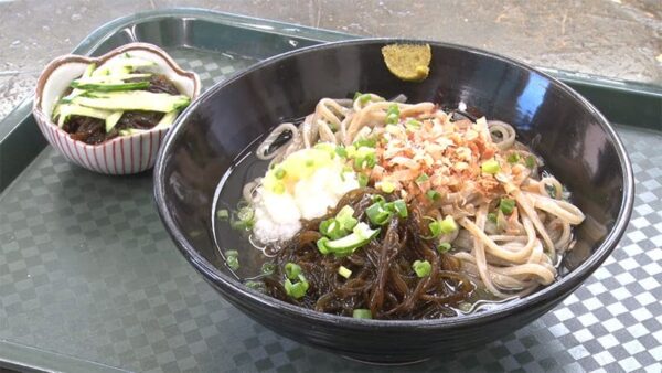 沖縄県 伊平屋島 ヴィラージュ ぶっかけ島うどん もずくうどん もずくめん