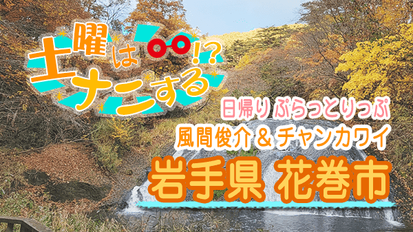 土曜はナニする 日帰り ぷらとりっぷ 岩手県 花巻市 風間俊介 チャンカワイ