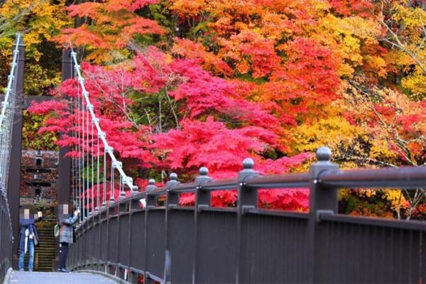 那須塩原 紅の吊橋 紅葉の名所