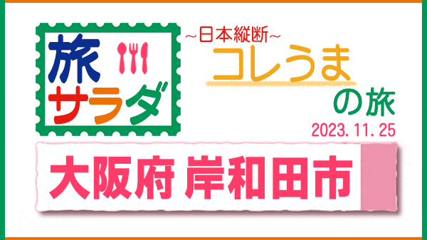 旅サラダ コレうま 大阪 岸和田市