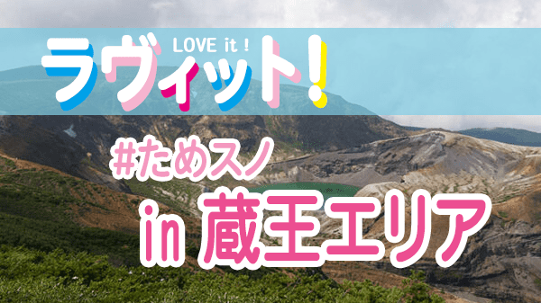 ラヴィット LOVEit ラビット ためスノ 蔵王エリア 宮城蔵王 山形蔵王 蔵王温泉