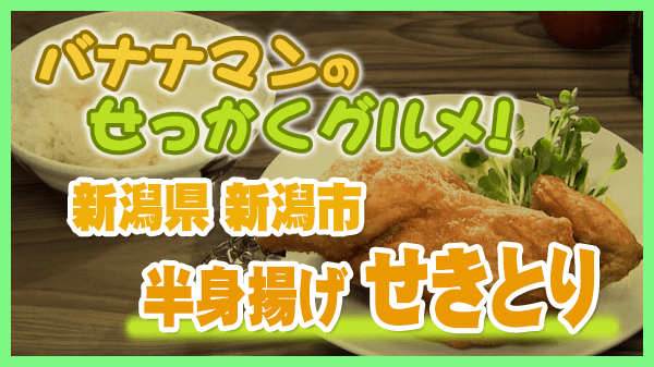バナナマンのせっかくグルメ 新潟県 新潟市 カレー風味 半身揚げ 鳥専門店 せきとり