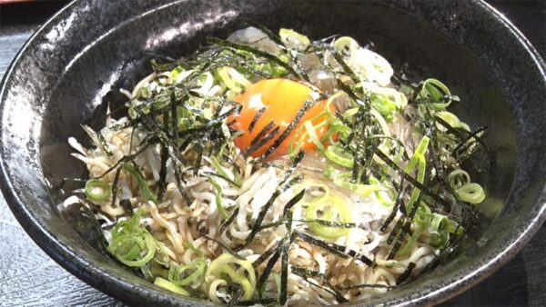 大阪府 岸和田市 きんちゃく家 生しらすと釜揚げのハーフ丼