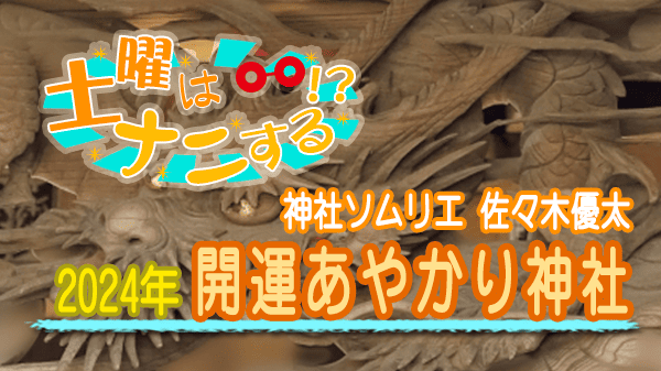 土曜はナニする 神社ソムリエ 佐々木優太 2024年 開運あやかり神社