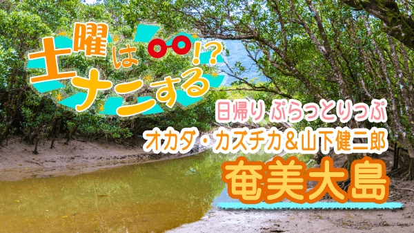 土曜はナニする 日帰り ぷらっとりっぷ 奄美大島 オカダ・カズチカ 山下健二郎