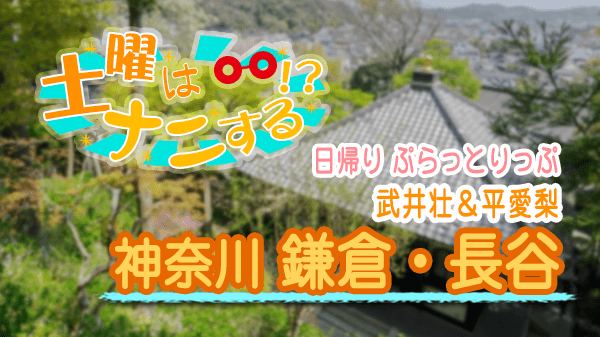 土曜はナニする 日帰り ぷらっとりっぷ 武井壮 平愛梨 神奈川県 鎌倉 長谷