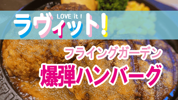 ラヴィット LOVEit ラビット フライングガーデン 爆弾ハンバーグ