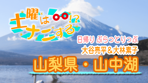 土曜はナニする 山梨県 山中湖 大谷亮平 大林素子