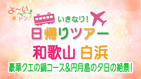 よーいドン いきなり日帰りツアー 和歌山 白浜 南紀