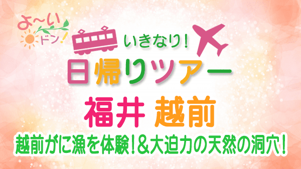 よーいドン いきなり日帰りツアー 福井県 越前市