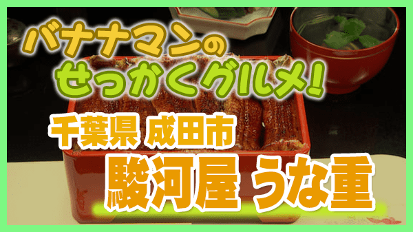 バナナマンのせっかくグルメ 千葉県 成田市 駿河屋 うな重