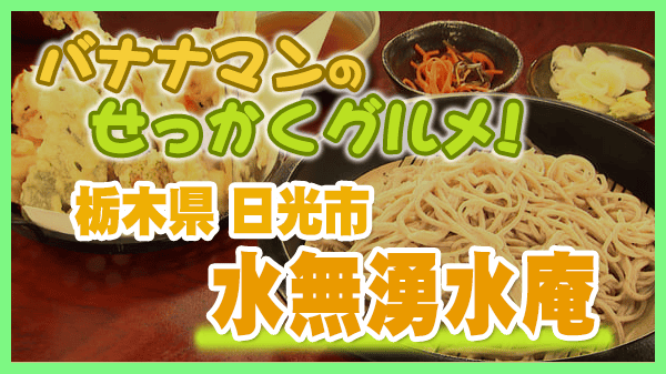 バナナマンのせっかくグルメ 栃木県 日光市 水無湧水庵 手打ちそば 天ぷら