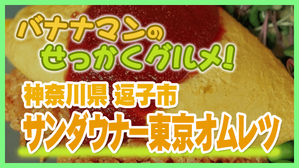 バナナマンのせっかくグルメ 神奈川県 逗子市 サンダウナー東京オムレツ オムライス