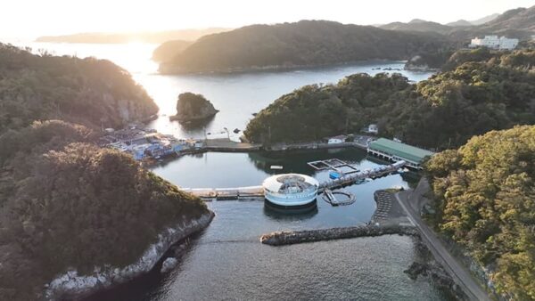 静岡県 下田市 下田海中水族館