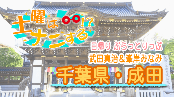 土曜はナニする 千葉 成田 武田真治 峯岸みなみ