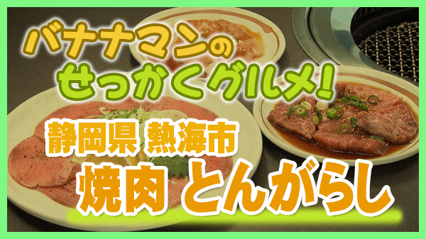 バナナマンのせっかくグルメ 静岡県 熱海市 焼肉 とんがらし