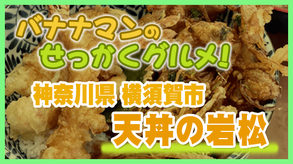 バナナマンのせっかくグルメ 神奈川県 横須賀市 天丼の岩松