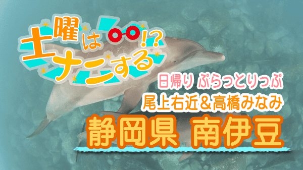 土曜はナニする 日帰り ぷらっとりっぷ 尾上右近 高橋みなみ 静岡県 南伊豆