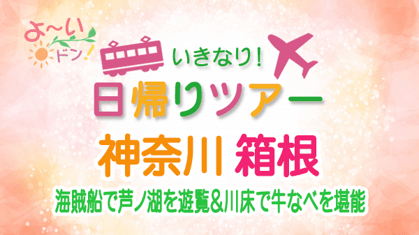 よーいドン いきなり日帰りツアー 神奈川 箱根