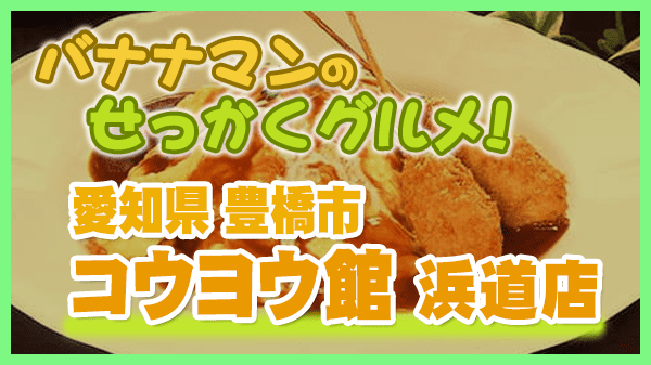 バナナマンのせっかくグルメ 愛知県 豊橋市 コウヨウ館 浜道店 オムライス