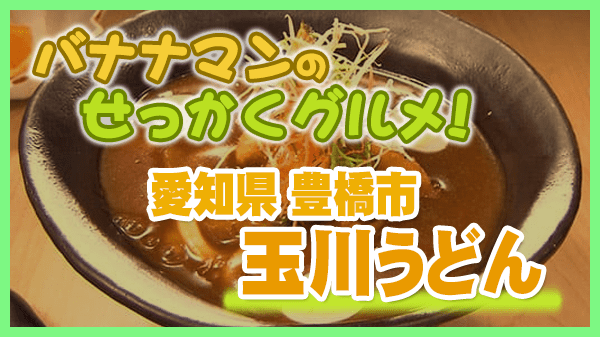 バナナマンのせっかくグルメ 愛知県 豊橋市 玉川うどん 豊橋カレーうどん