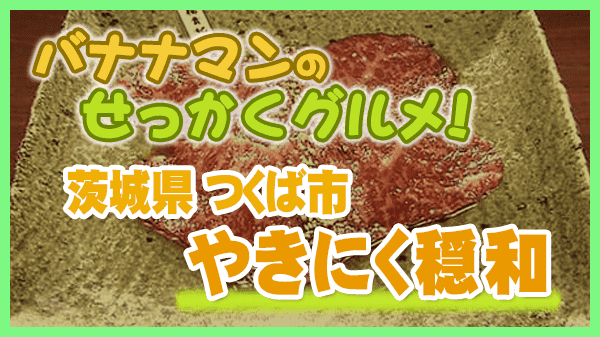 バナナマンのせっかくグルメ 茨城県 つくば市 焼肉 やきにく穏和