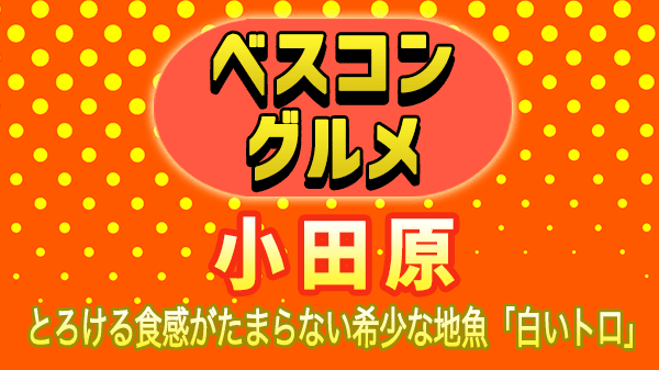 ベスコングルメ 小田原 地魚 白いトロ