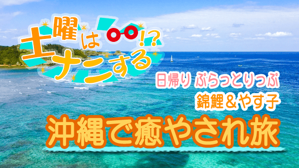 土曜はナニする 日帰り ぷらっとりっぷ 沖縄 錦鯉 やす子