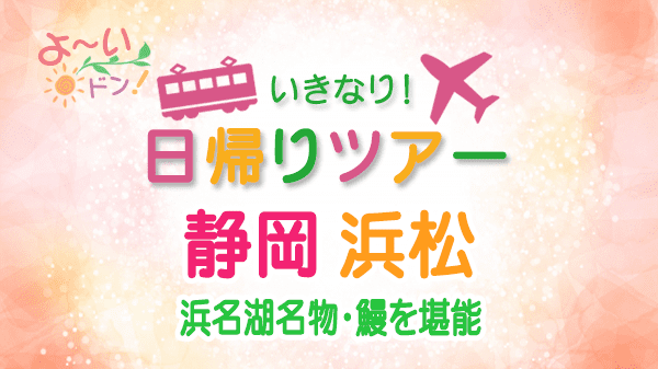 よーいドン いきなり日帰りツアー 静岡県 浜松市