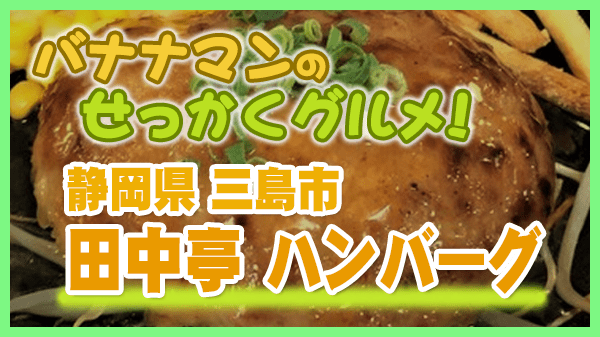 バナナマンのせっかくグルメ 静岡県 三島市 田中亭 ハンバーグ