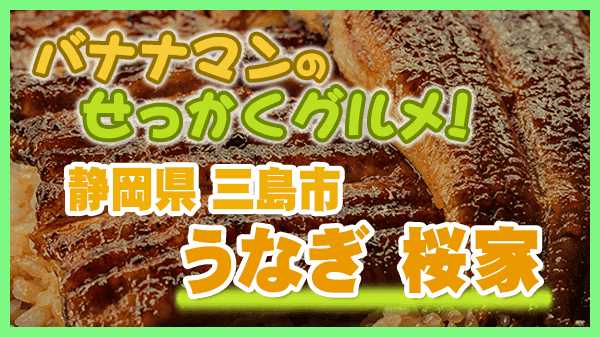 バナナマンのせっかくグルメ 静岡県 三島市 うなぎ 桜家 うな重