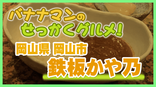 バナナマンのせっかくグルメ 岡山県 岡山市 鉄板かや乃 牛すじカレー