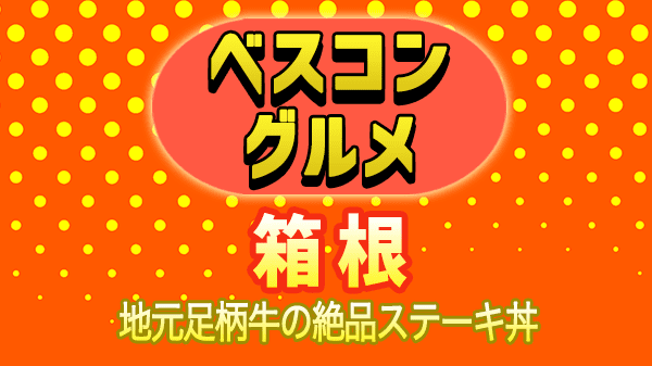 ベスコングルメ 箱根 足柄牛 ステーキ丼