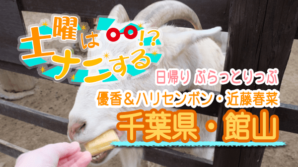 土曜はナニする 日帰りぷらっとりっぷ 優香 ハリセンボン 近藤春菜 千葉県 館山