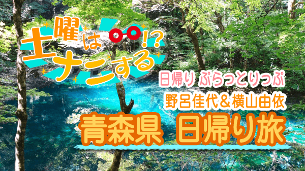 土曜はナニする 日帰り　ぷらっとりっぷ 野呂佳代 横山由依 青森県