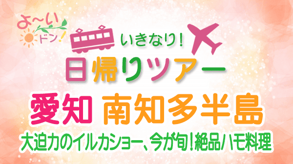 よーいドン いきなり日帰りツアー 愛知県 南知多半島