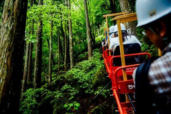 よーいドン いきなり日帰りツアー 奈良県 天川村 五代松鍾乳洞