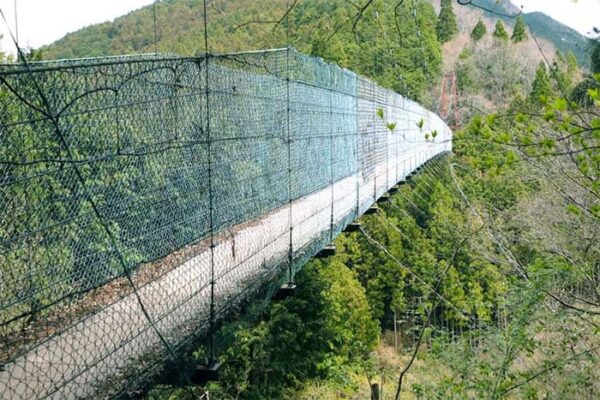 よーいドン いきなり日帰りツアー 奈良県 天川村 かりがね橋